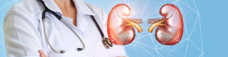 پیوند کلیه، نجات‌بخش بیماران مبتلا به نارسایی کلیوی